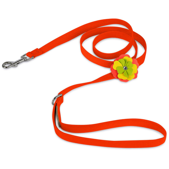 Susan Lanci Leashes | Designer Puppy and Dog Leashes