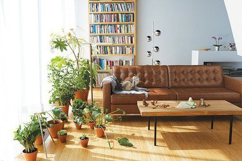 EQ3 Reverie Apartment Sized Sofa in Carmel colour