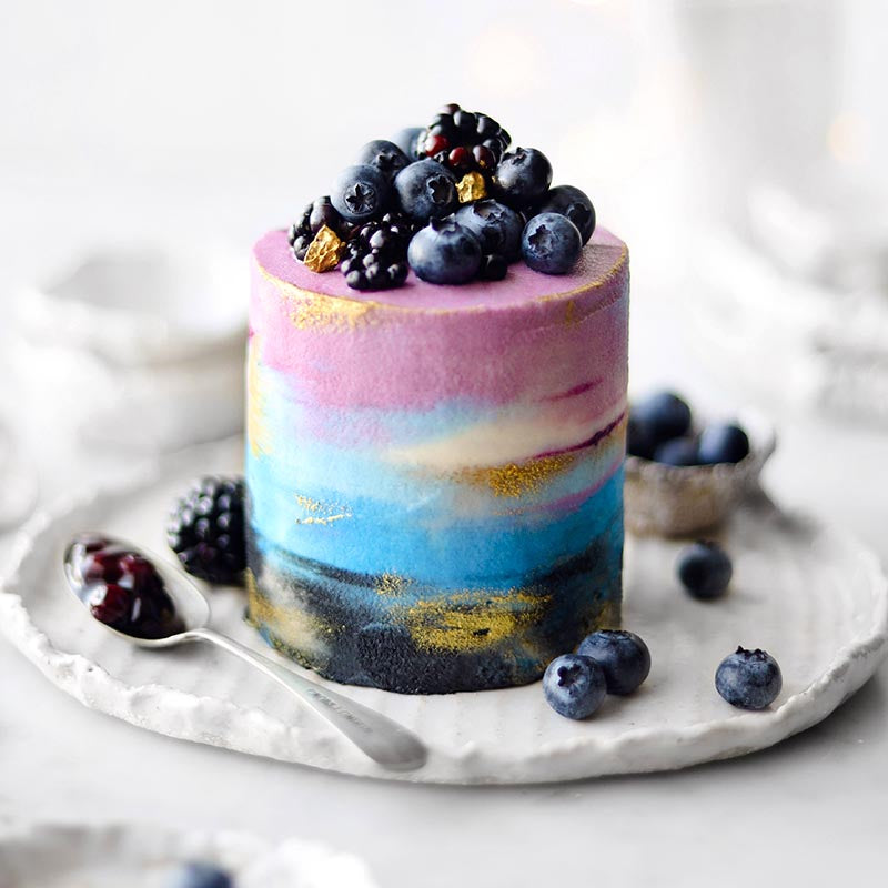 Blueberry and coconut ice-cream cake