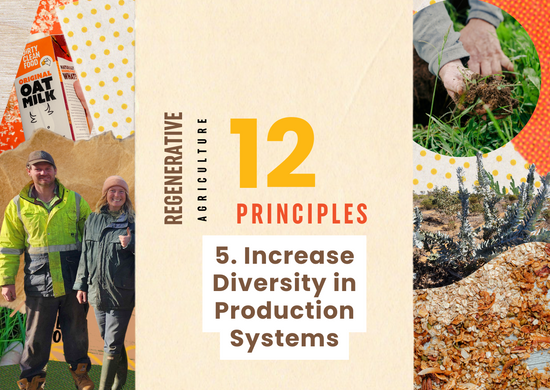 Dirty Clean Food regenerative agriculture 12 principles