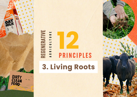 Dirty Clean Food regenerative agriculture 12 principles