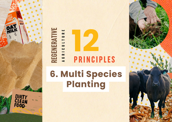 Dirty Clean Food regenerative agriculture 12 principles