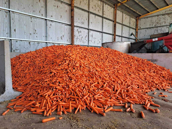 What The Carrot?!- A Silage Experiment from KM Farms