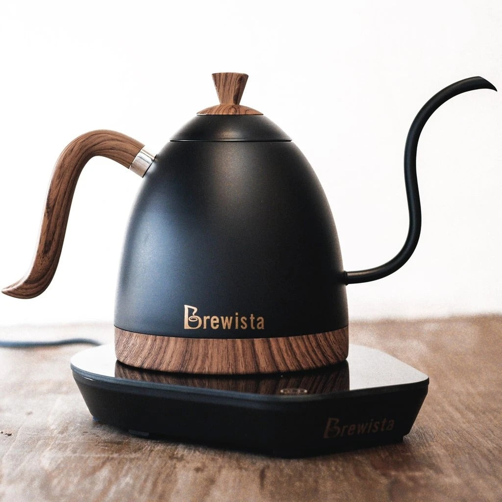 electric gooseneck kettle