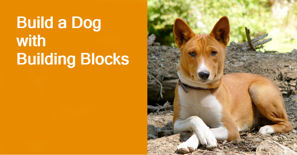dog building blocks