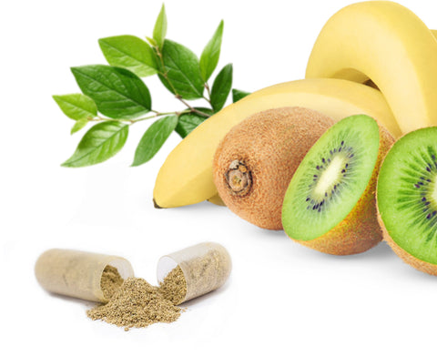 NORDIQ Nutrition Multi Nutrient open capsule with kiwi, spinach leaves and banana.