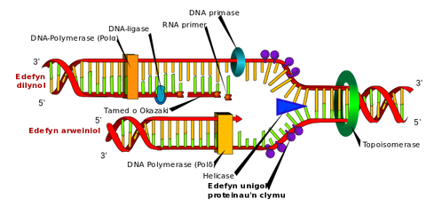 <img src="whitelabcoat.png" alt="lab coat DNA">