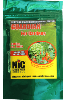 Dambly's Garden Center - Nema Globe Pot Popper Organic Indoor Fungus Gnat &  Insect Control 8 Count