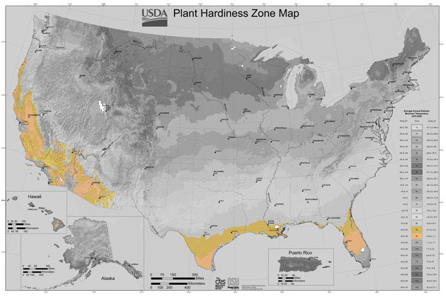 In the United States, a small strip along the coast in Oregon, much of California and Arizona fall into zone 9. Same with the southern part of Texas and into Louisiana. There's also a wide band right through the center of Florida.  Last frost is typically no later than March 1 and first frost doesn't come until mid December.