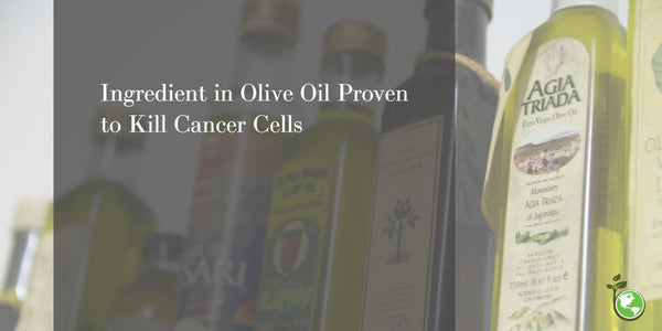 ingredient in extra virgin olive oil proven to kill cancer cells