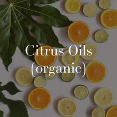 organic citrus whip facial cleanser (natural)
