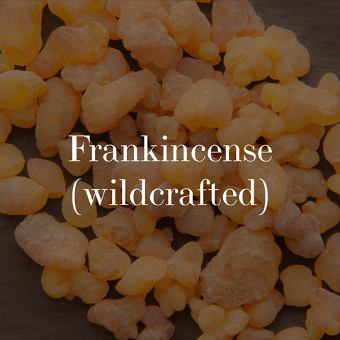 frankincense - wildcrafted botanical skincare with olive oil