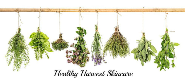 healthy harvest natural organic herbal skincare for anti-aging