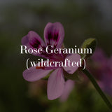 rose geranium