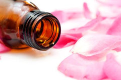 rose geranium for skincare