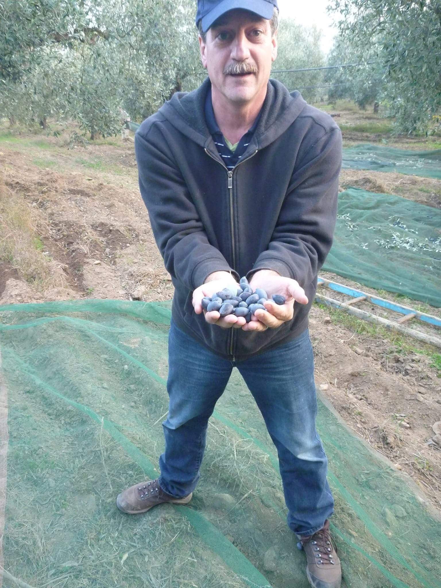 Healthy Harvest in greece