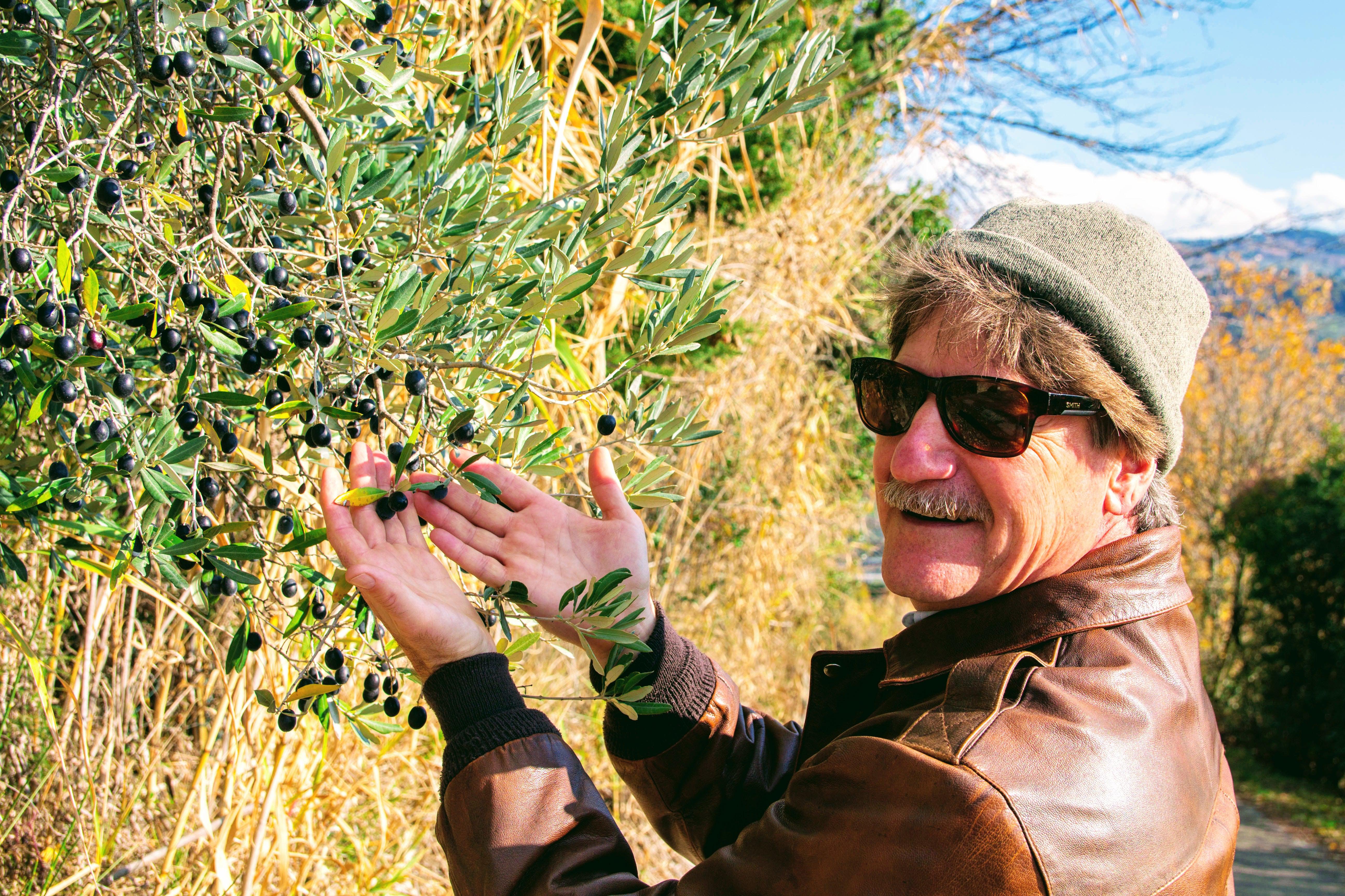 Healthy Harvest in Tuscany