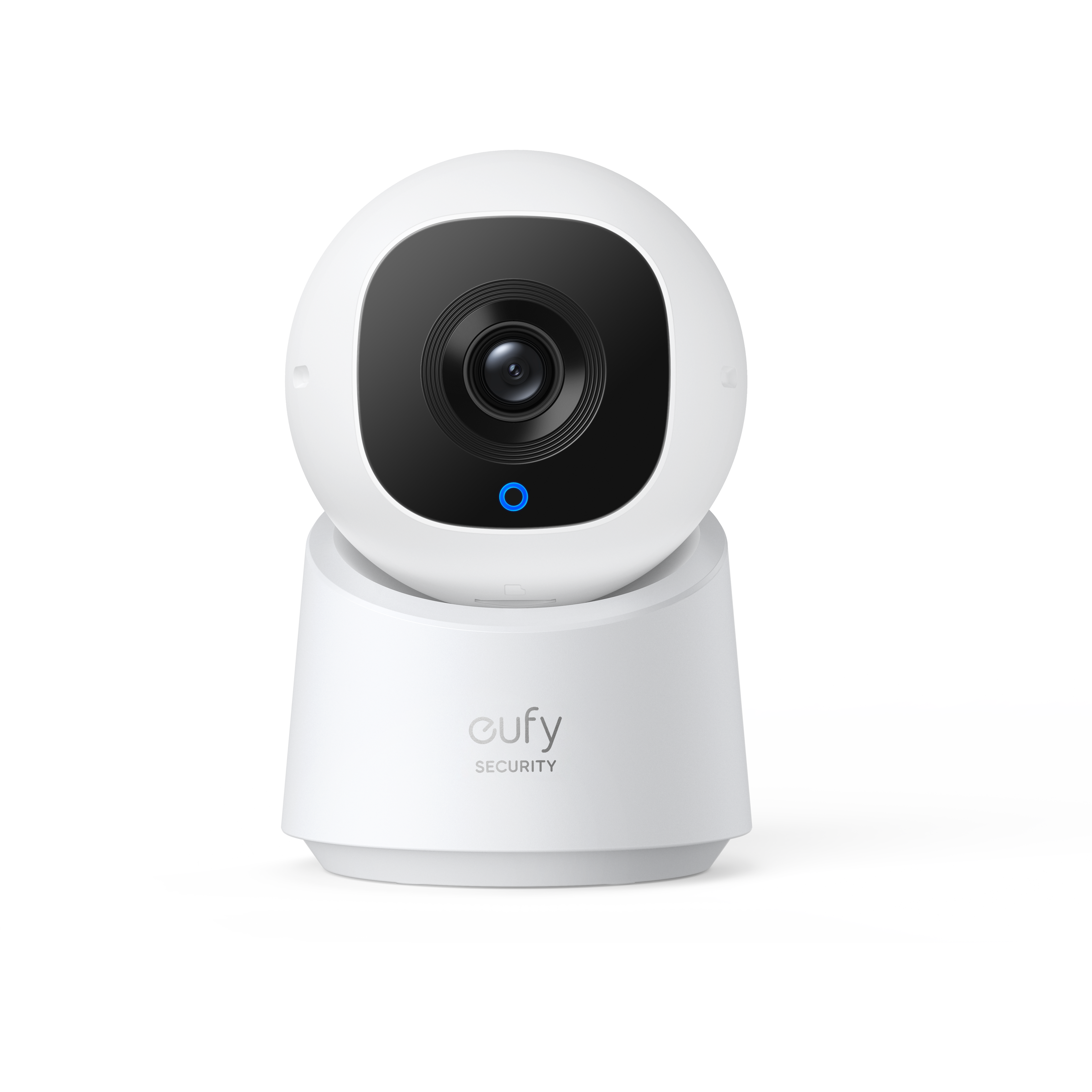 Indoor Cam C220