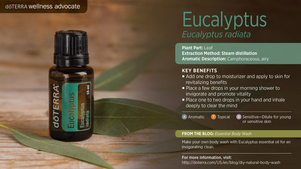 Eucalyptus Essential Oil