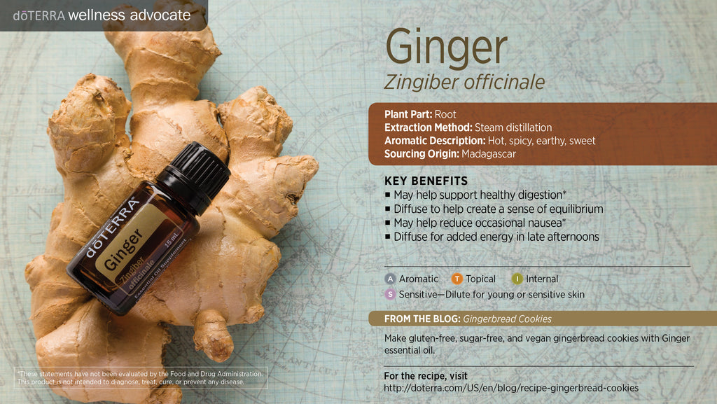 Ginger Essential Oil