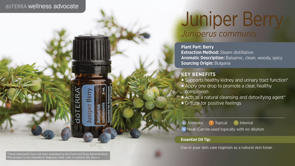 Juniper Berry Essential Oil