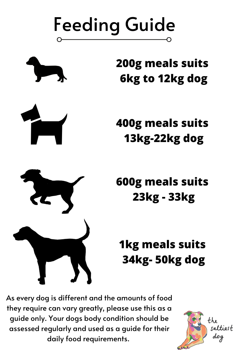 raw feeding guide amounts by dog weight