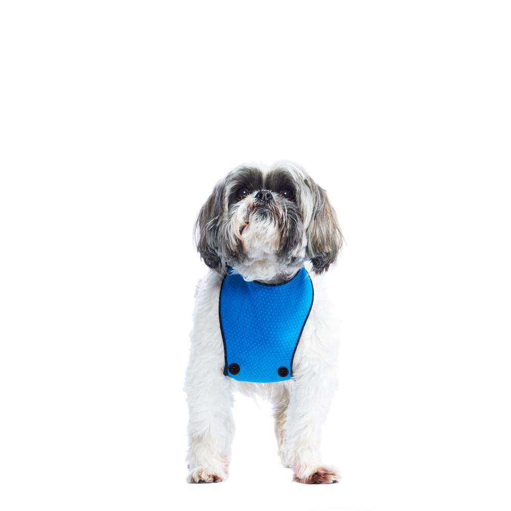 EXTENDER STRAPS  edwardo blue – T.O. Dogswear