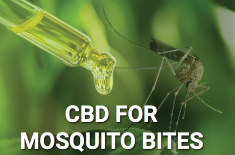 Pacific CBD Co Products for Mosquito Bites Blog