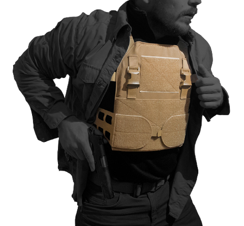 Covert plate carrier