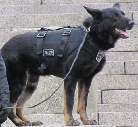 K9 Storm Patrol SWAT Vest