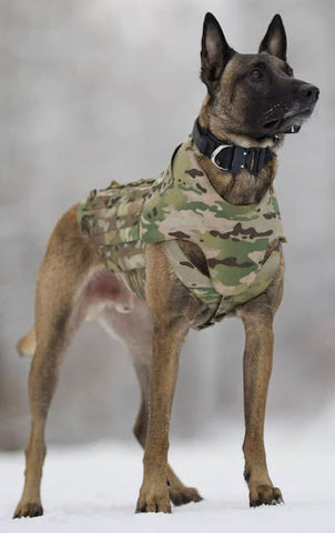 Ukranian Armor Canine Body Armor (CBA)