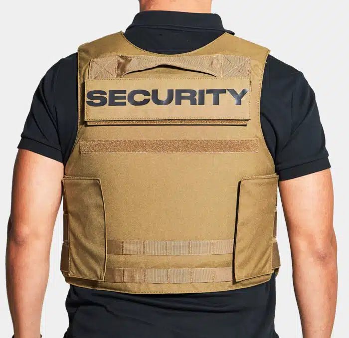 Ace Link Armor Security Patch