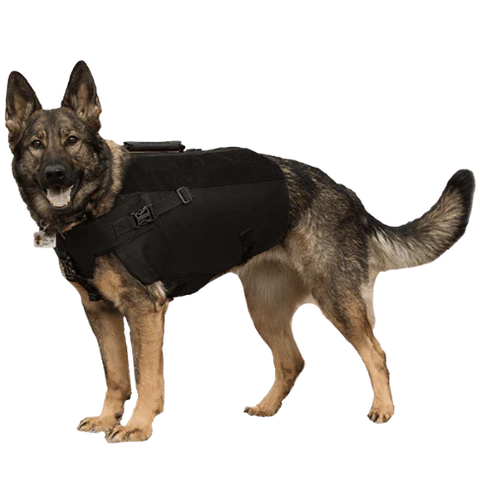 K9 dog wearing a bulletproof vest