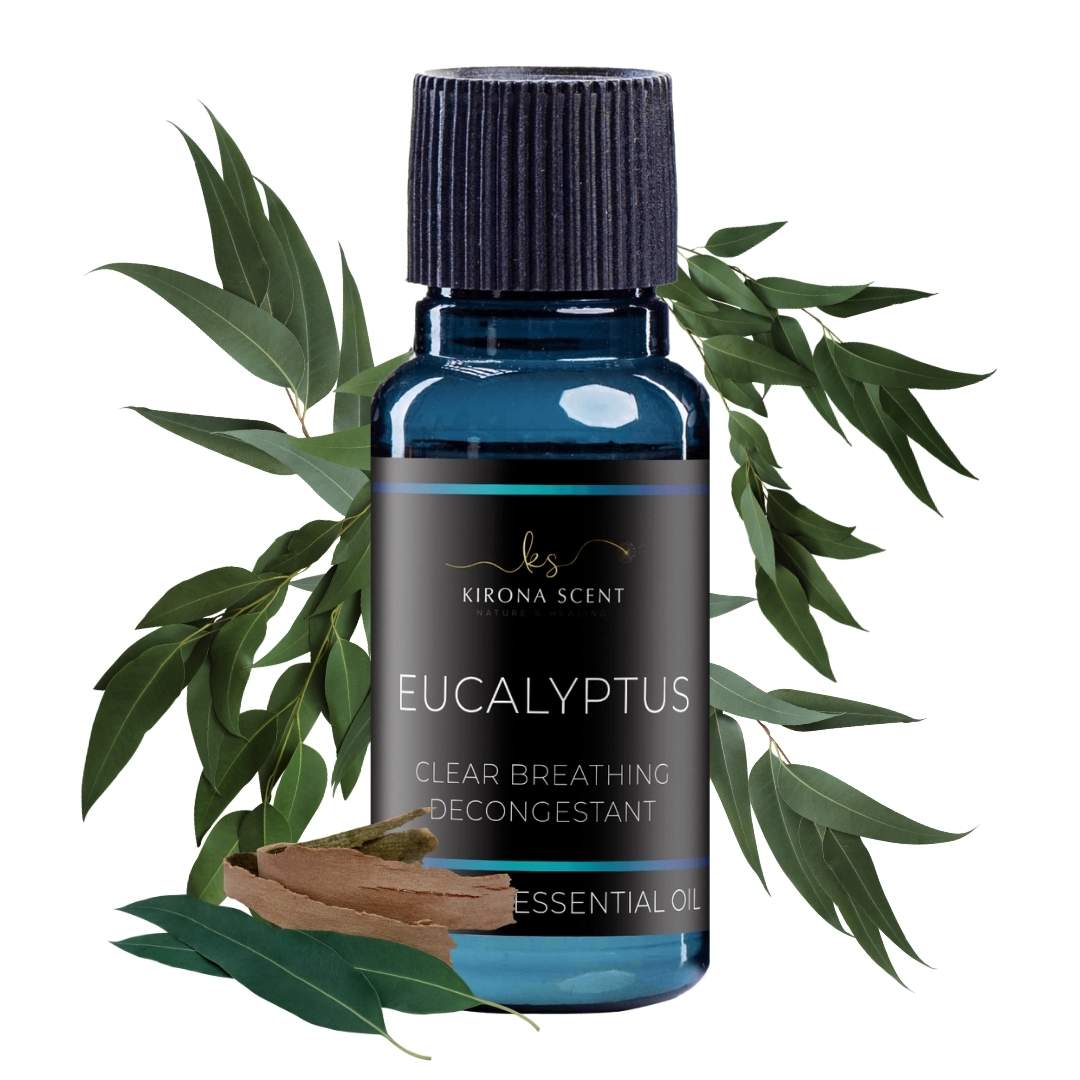 Just Eucasol Eucalyptus Pine Rosemary and Fir Essential Oils Spray 50 ml :  : Health & Personal Care