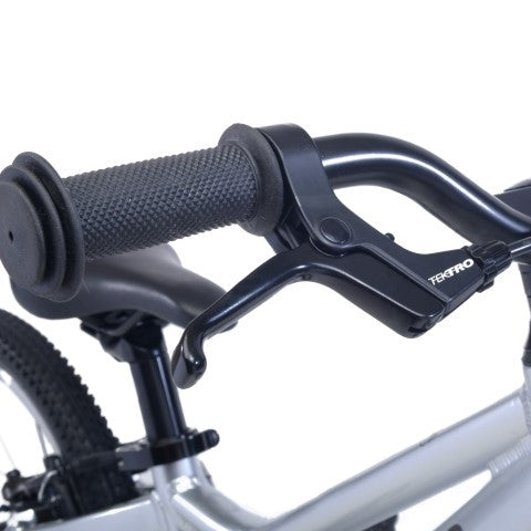 bicycle brake lever