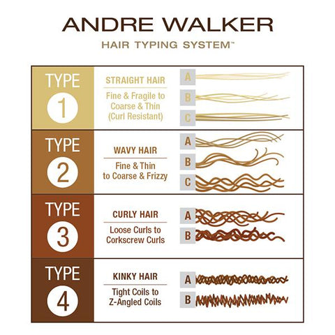 Andre Walker Hair classification infographic. 