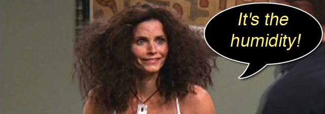 An Episode Of Friends Is Your Hair Ever Like Monica S Maison D Argan