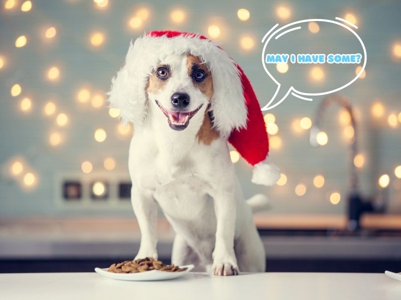 Christmas Foods for Your Dog