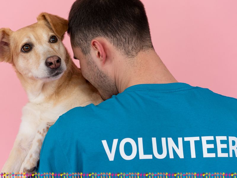 The Joy of Volunteering with Dogs