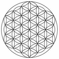 flower of life symbol_What Do You Know About Symbols_Crystal Divine Alchemy