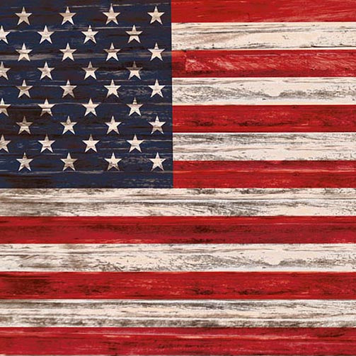 Bunting Backdrops Grunge Backdrops American Flag Background G-341 ...