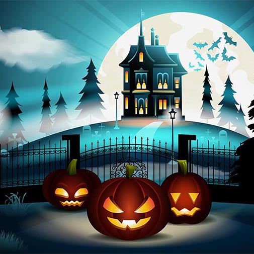 Festival Backdrops Halloween Pumpkin Lantern Background G-797 – iBACKDROP