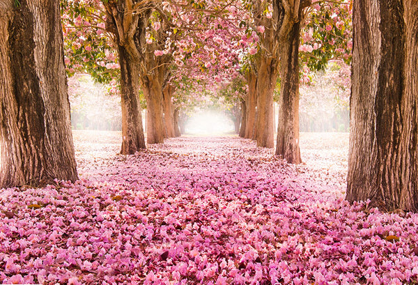 Scenic Backdrops Trees Parks Woodland Backdrops Pink Background S 2732