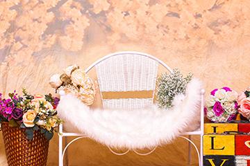 Soft White Velvet Cushioned Chair Background Photography Backdrop for –  iBACKDROP