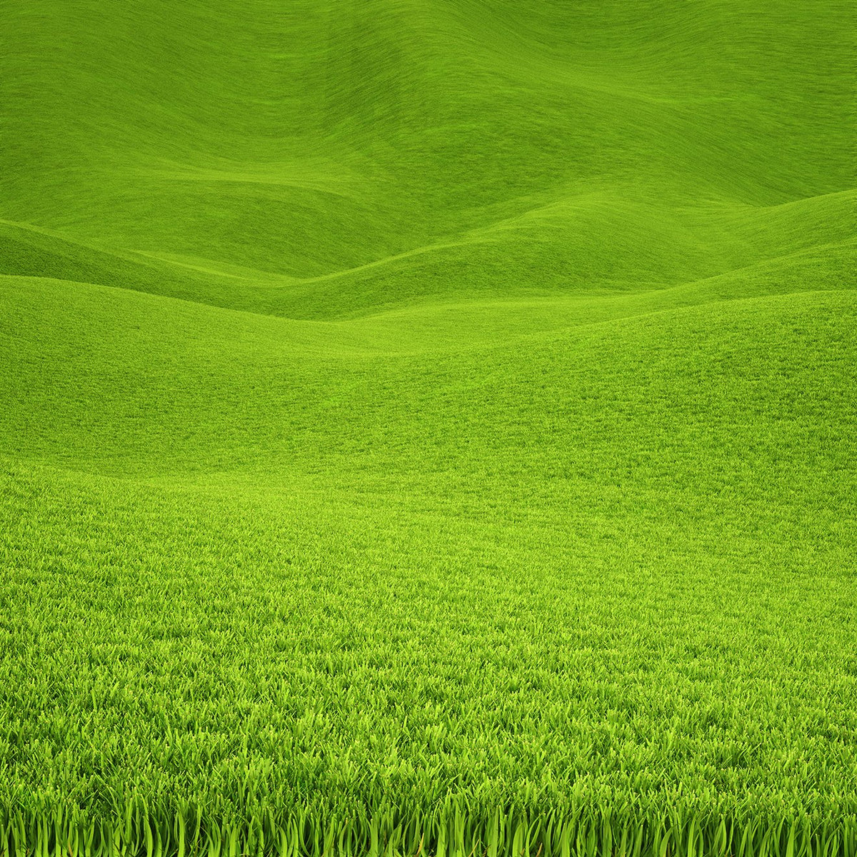 Spring Green Vibrant Background Green Grass Photo Backdrop IBD-19970