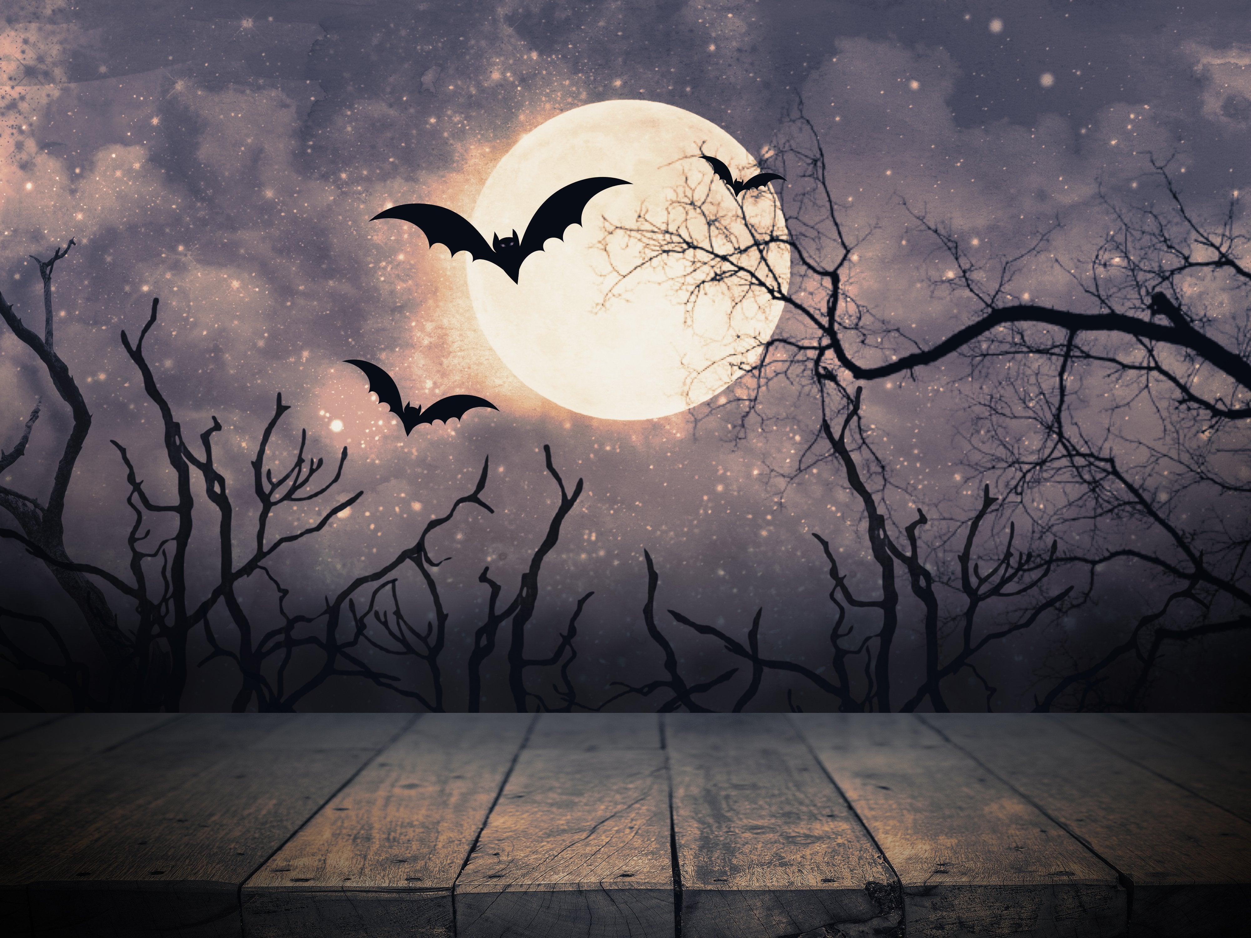 Moonlight Background Flying Bats And Trees Halloween Backdrops Ibd