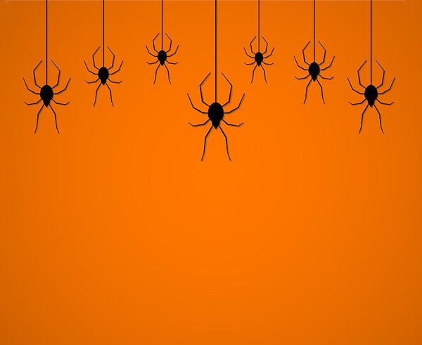 Orange Background Hang Spiders Backdrops Halloween Background IBD ...