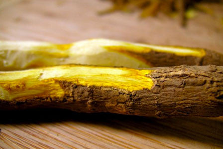 oregon-grape-root