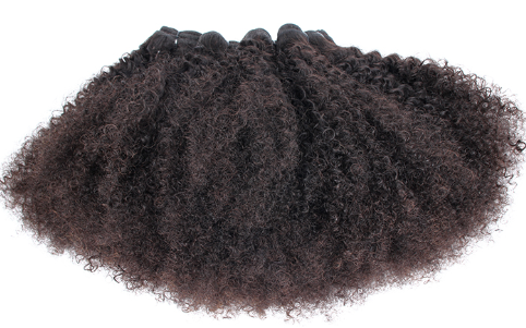 5 Quick Tips To Weave Afro Kinky Human Hair Perfectly Into Natural Hai ...