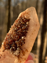 snow rose Lemurian crystal